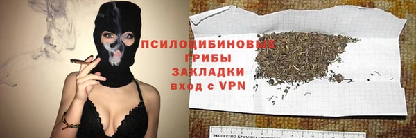 МДПВ Михайловск