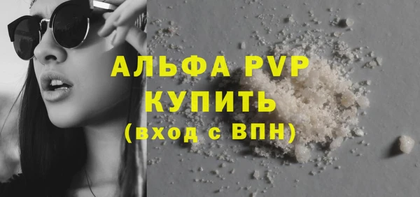 шишки Медвежьегорск