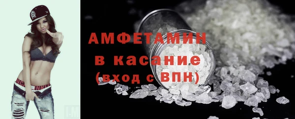 шишки Медвежьегорск