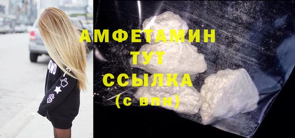 шишки Медвежьегорск