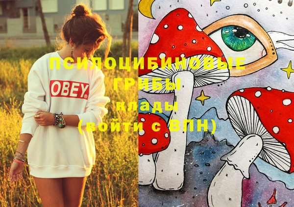 МДПВ Михайловск