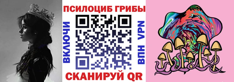 наркотики  Липецк  Галлюциногенные грибы мицелий 