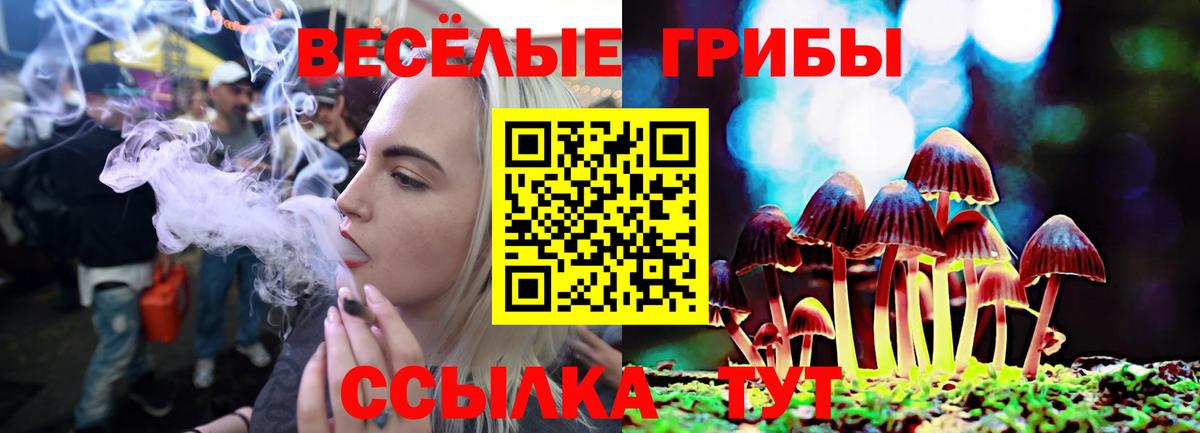 Галлюциногенные грибы прущие грибы  Вход с VPN  Липецк  Галлюциногенные грибы ЛСД 